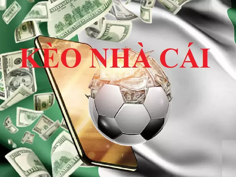 Cập nhật kết quả bóng đá nữ hôm nay nhanh và chính xác nhất